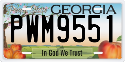GA license plate PWM9551