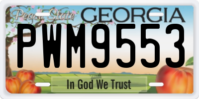 GA license plate PWM9553