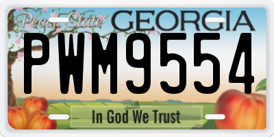 GA license plate PWM9554