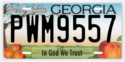 GA license plate PWM9557