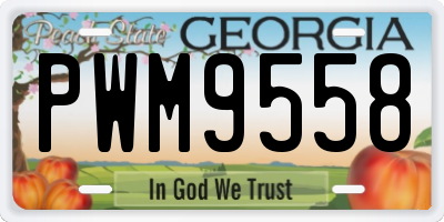 GA license plate PWM9558
