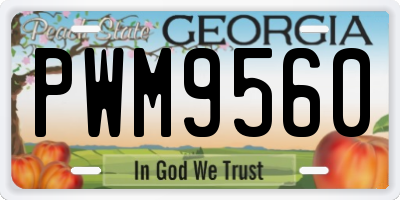 GA license plate PWM9560