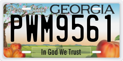 GA license plate PWM9561