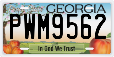 GA license plate PWM9562