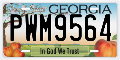 GA license plate PWM9564
