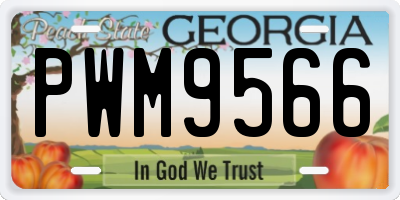 GA license plate PWM9566