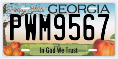 GA license plate PWM9567
