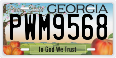 GA license plate PWM9568