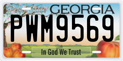 GA license plate PWM9569
