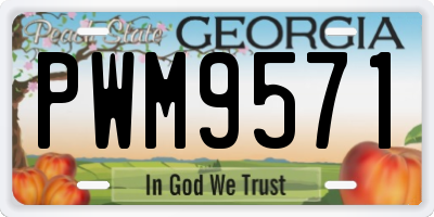 GA license plate PWM9571