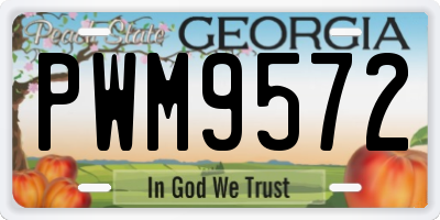 GA license plate PWM9572