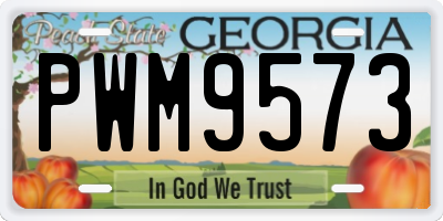 GA license plate PWM9573