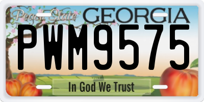 GA license plate PWM9575