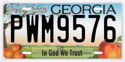 GA license plate PWM9576