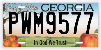 GA license plate PWM9577