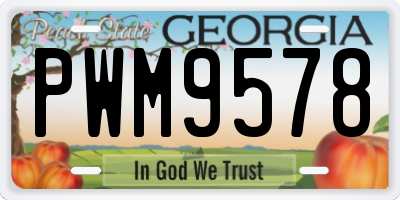 GA license plate PWM9578