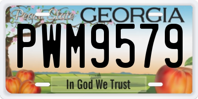 GA license plate PWM9579