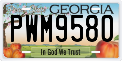 GA license plate PWM9580
