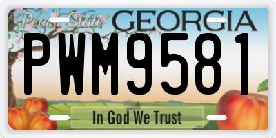 GA license plate PWM9581