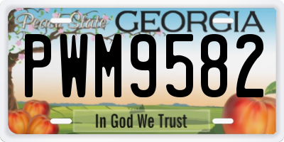 GA license plate PWM9582