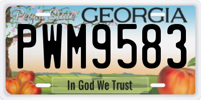 GA license plate PWM9583