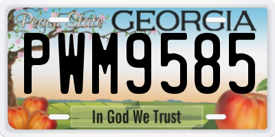 GA license plate PWM9585