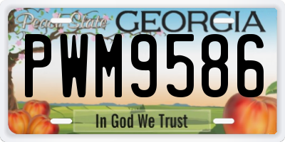 GA license plate PWM9586