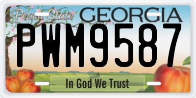 GA license plate PWM9587