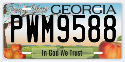 GA license plate PWM9588