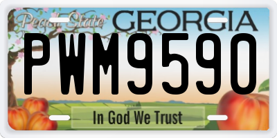 GA license plate PWM9590