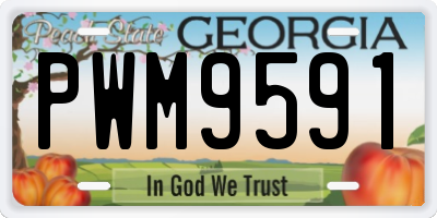 GA license plate PWM9591