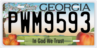 GA license plate PWM9593