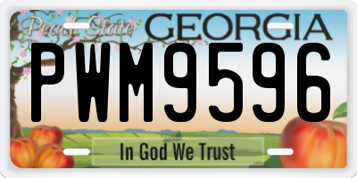 GA license plate PWM9596