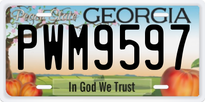 GA license plate PWM9597