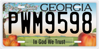 GA license plate PWM9598