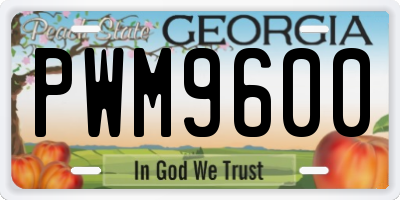 GA license plate PWM9600