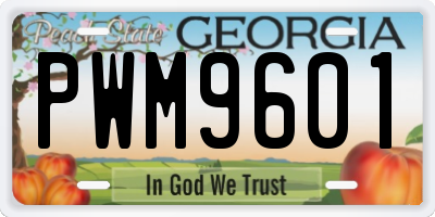 GA license plate PWM9601