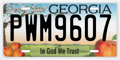GA license plate PWM9607