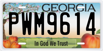 GA license plate PWM9614