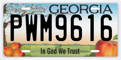 GA license plate PWM9616