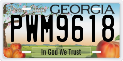 GA license plate PWM9618