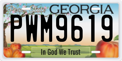 GA license plate PWM9619