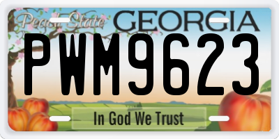 GA license plate PWM9623