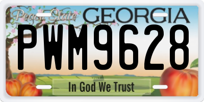 GA license plate PWM9628