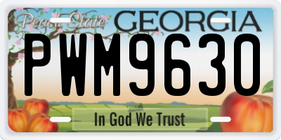 GA license plate PWM9630