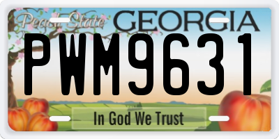 GA license plate PWM9631