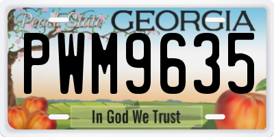 GA license plate PWM9635