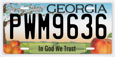GA license plate PWM9636