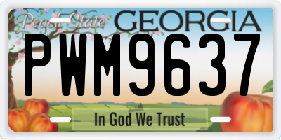 GA license plate PWM9637