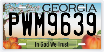 GA license plate PWM9639